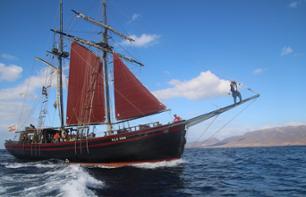 Croisière à bord d’un bateau pirate à Fuerteventura - Transferts & déjeuner inclus