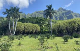 Visite des plages et des fermes fruitières d'Oahu - Au départ de Waikiki ou Kahala