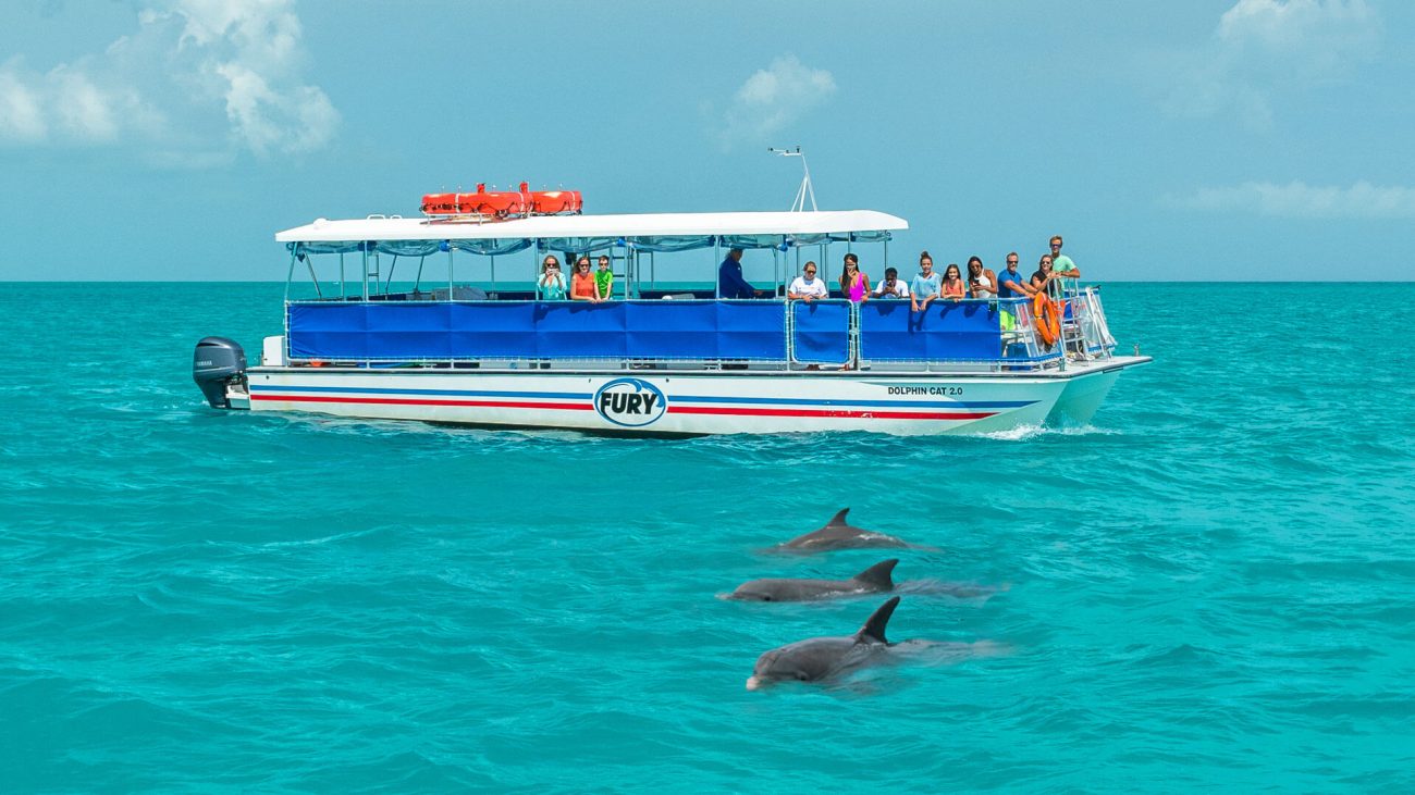 dauphin island dolphin tour