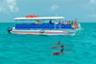 Dolphin-Watching Cruise + Snorkeling