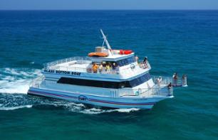 Cruise on a glass-bottomed catamaran