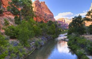 Trip to Zion National Park and the Mojave desert - VIP tour