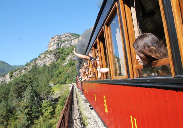 Ticket for the Pignes Steam Locomotive - Roundtrip with Departure from Puget Théniers (1hr 15mins from Nice)