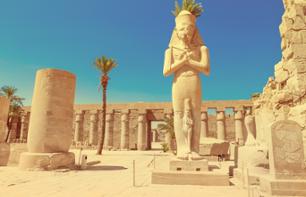 La rive Est du Nil: Temples de Karnak et de Louxor - Excursion privée en français & transferts inclus