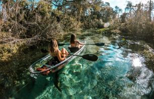 Kayak tour to meet the wild manatees of the Crystal River