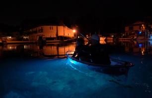 Tour en kayak de nuit à Crystal River