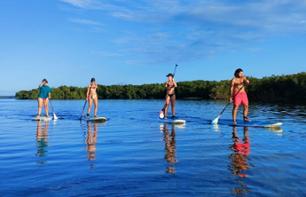 Balade en paddle dans la mangrove guadeloupéenne - Au départ de Morne-à-l'Eau