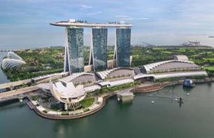 Billet pour l'observatoire SkyPark du Marina Bay Sands - Singapour