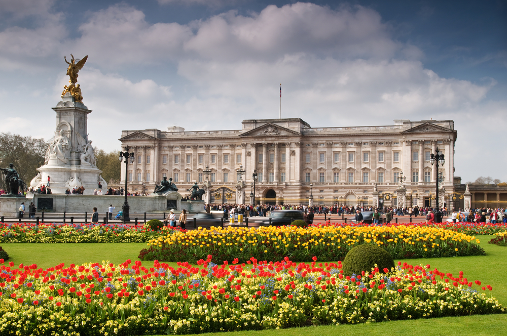 Tour of Buckingham Palace 24hour bus pass, guided themed tour and
