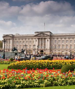 Visite de Buckingham Palace – Pass bus 24h, tour guidé thématique et croisière sur la Tamise