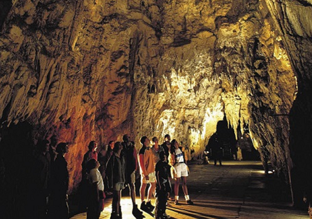 Excursion to Rotorua with Waitomo Cave visit - departure from Auckland