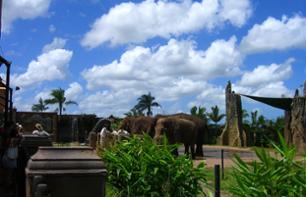 Visite du Zoo d’Australie – Au départ de Brisbane ou Gold Coast