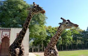 Billet Zoo Temaikèn - transfert hôtel inclus - Buenos Aires