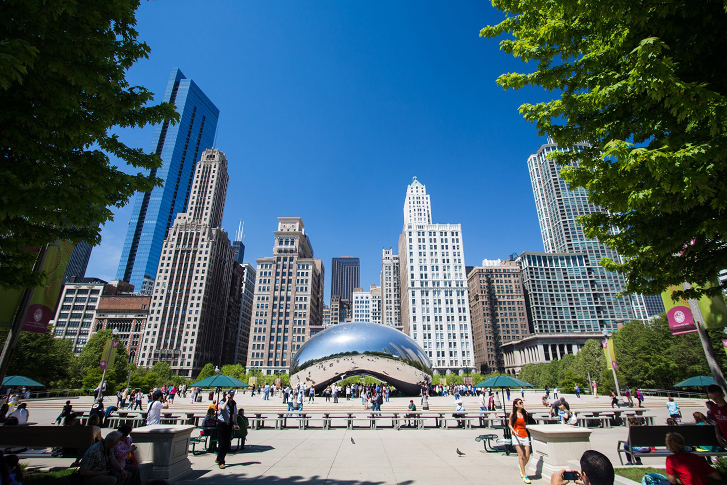 chicago guided tours