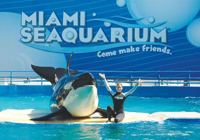 Skip-the-Line Tickets to Miami Seaquarium