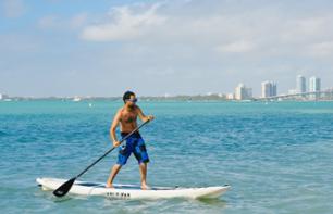 Location de paddle dans la baie de Biscayne à Miami (1h)