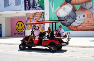 Visite guidée de Wynwood en buggy et cours de graffiti - Miami