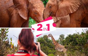 Visite 2-en-1: Centre des girafes & Orphelinat des éléphants (+ Bomas of Kenya ou Musée national en option) - Nairobi