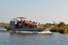Airboat Swamp Tour – Transport from New Orleans included