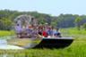 Airboat tour of the swamps- Transport from Orlando included