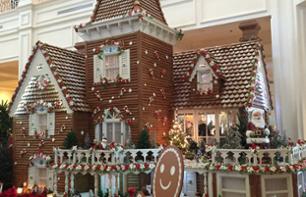 Tour of Orlando’s Best Christmas Decorations – Transport Included