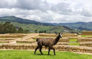 Excursion guidée dans les ruines Incas d'Ingapirca - Au départ de Cuenca