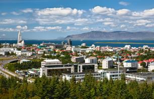 Guided tour of Reykjavik by minibus and on foot