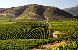 Private excursion to Pomaire & the Undurraga Vineyards – Departing from Santiago