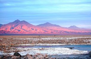 Excursion à la lagune Altiplanica et le Salar de Atacama (journée complète) - Au départ de San Pedro de Atacama