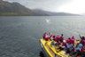 Croisière d'observation des baleines, des pingouins et des glaciers en Patagonie (journée complète) - Repas inclus - Au départ de Punta Arenas