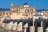 Excursion guidée à Cordoue et visite de ses principaux monuments - au départ de Séville