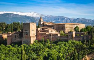 Visite guidée à pied de l’Alhambra – départ/retour hôtel