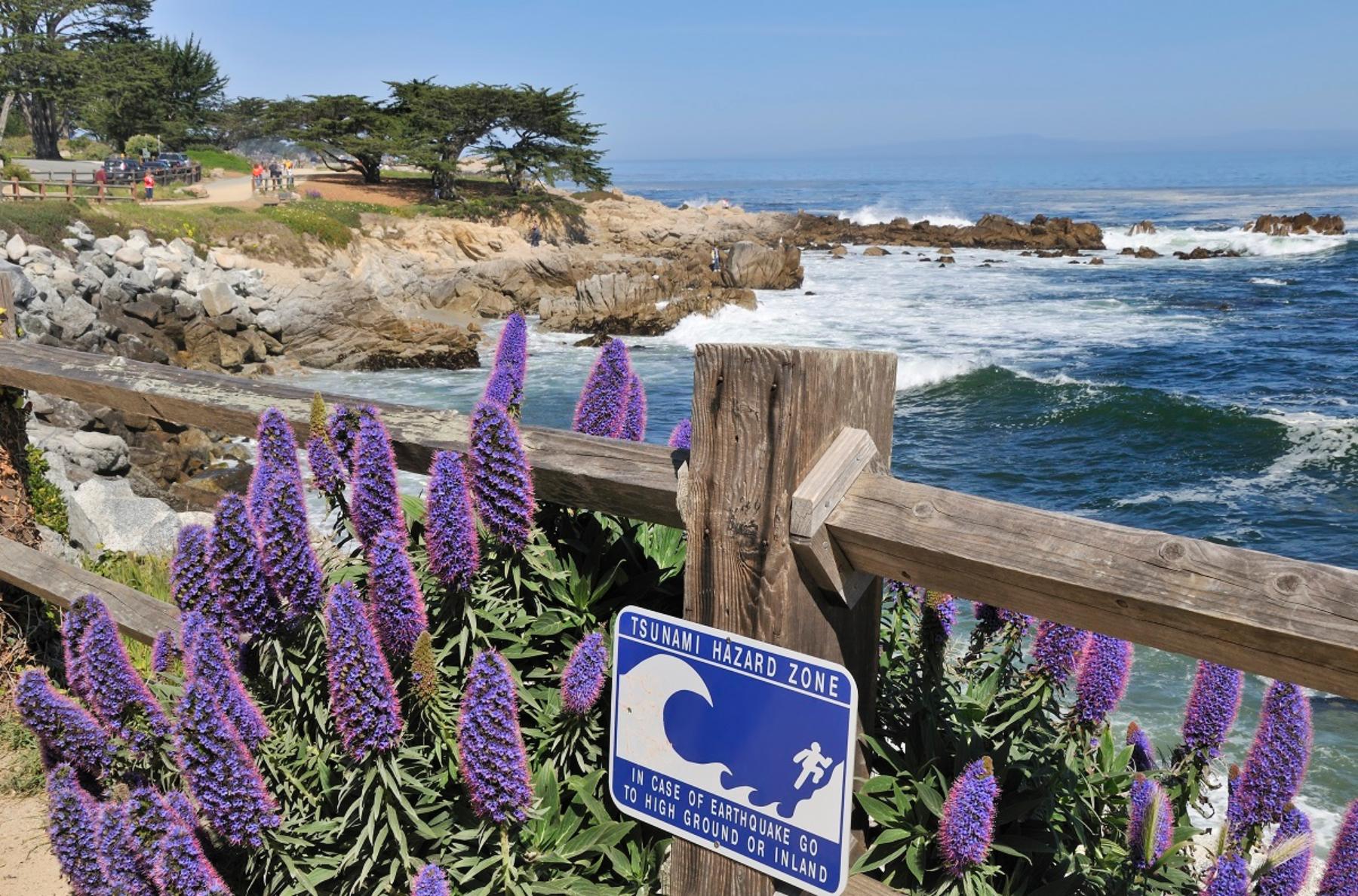 Excursion d'une journée le long de la côte Pacifique et visite de Monterey et Carmel - Au départ de San Francisco