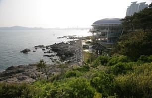 A la découverte de l'Est de la Corée du Sud en 4 jours – au départ de Séoul