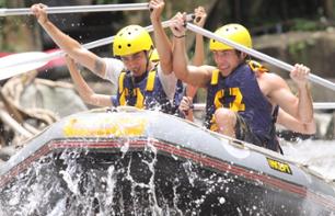 Day trip: rafting on the Ayung River and a guided tour of Ubud in Bali - Lunch and transfers included