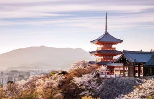 Visite guidée de Kyoto à pied - En français