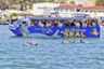 Tour insolite de San Diego en Duck boat (véhicule amphibie) - Visite sur terre et sur l’eau !