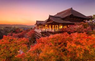 Visite guidée privée à pied des incontournables de Kyoto