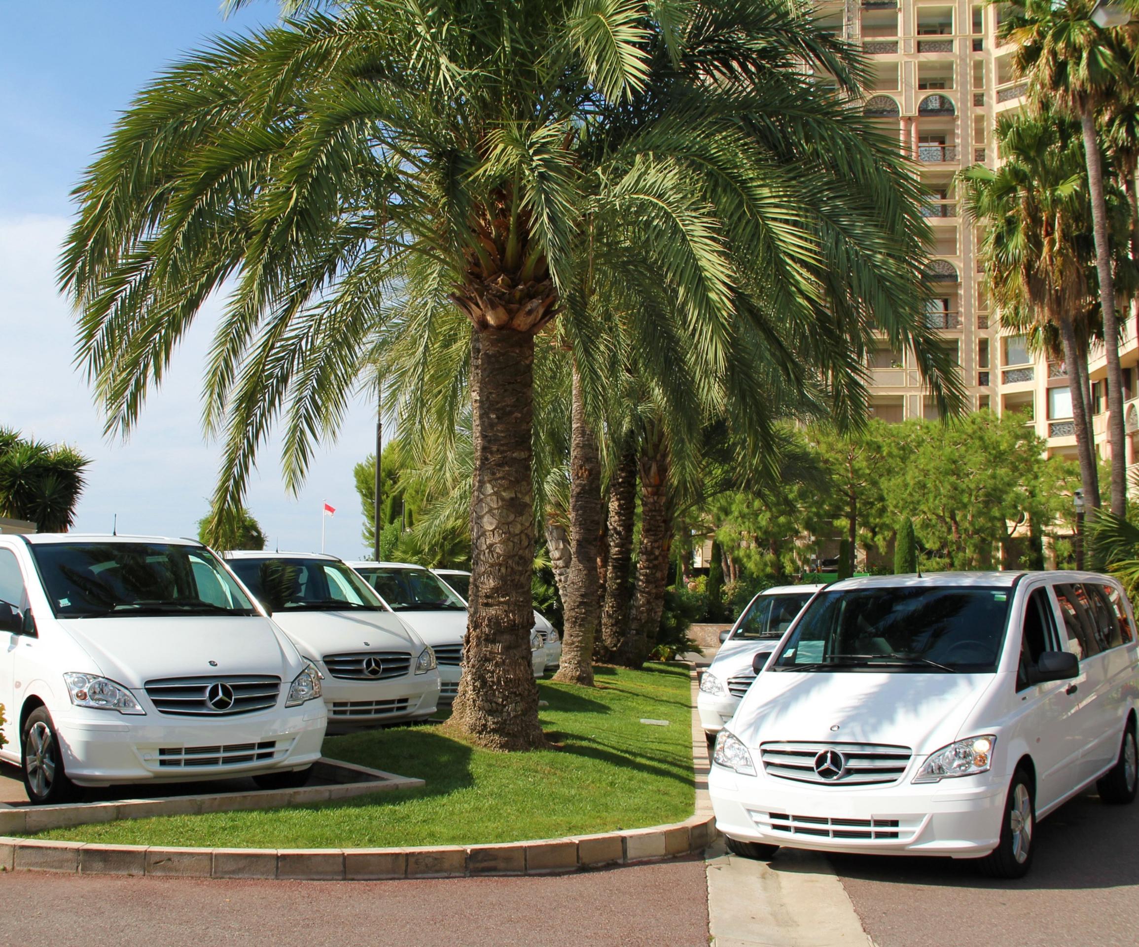 Daytime transfer by private vehicle from Nice and Nice airport to Monaco