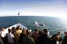 Croisière d'observation des baleines au large de San Diego