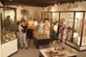 Visit the St. Augustine History Museum