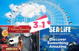 Billet coupe-file 3 en 1 : Madame Tussauds, aquarium SeaLife et grande roue ICON - Orlando