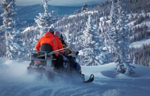 Snowmobile ride (1 hr 30 or 3 hr) - Duchesnay (45 mins from Quebec City)