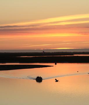 Croisière en catamaran au coucher de soleil dans la Ria Formosa à Faro