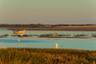 Cruise in the Ria Formosa Natural Park: Deserta and Farol islands - In French & In small groups - Faro