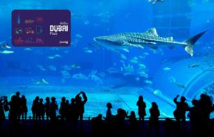 iVenture Card - Dubai Unlimited Pass: Accès illimité à + de 30 attractions - Valable 3 ou 5 jours