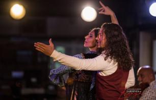 Spettacolo di Flamenco a Granada - opzione cena