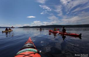 Initiation guidée au kayak sur le Fjord du Saguenay - Québec