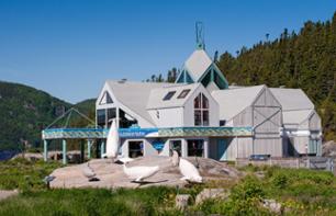 Billet Centre d’Interprétation des Mammifères Marins à Tadoussac - Québec