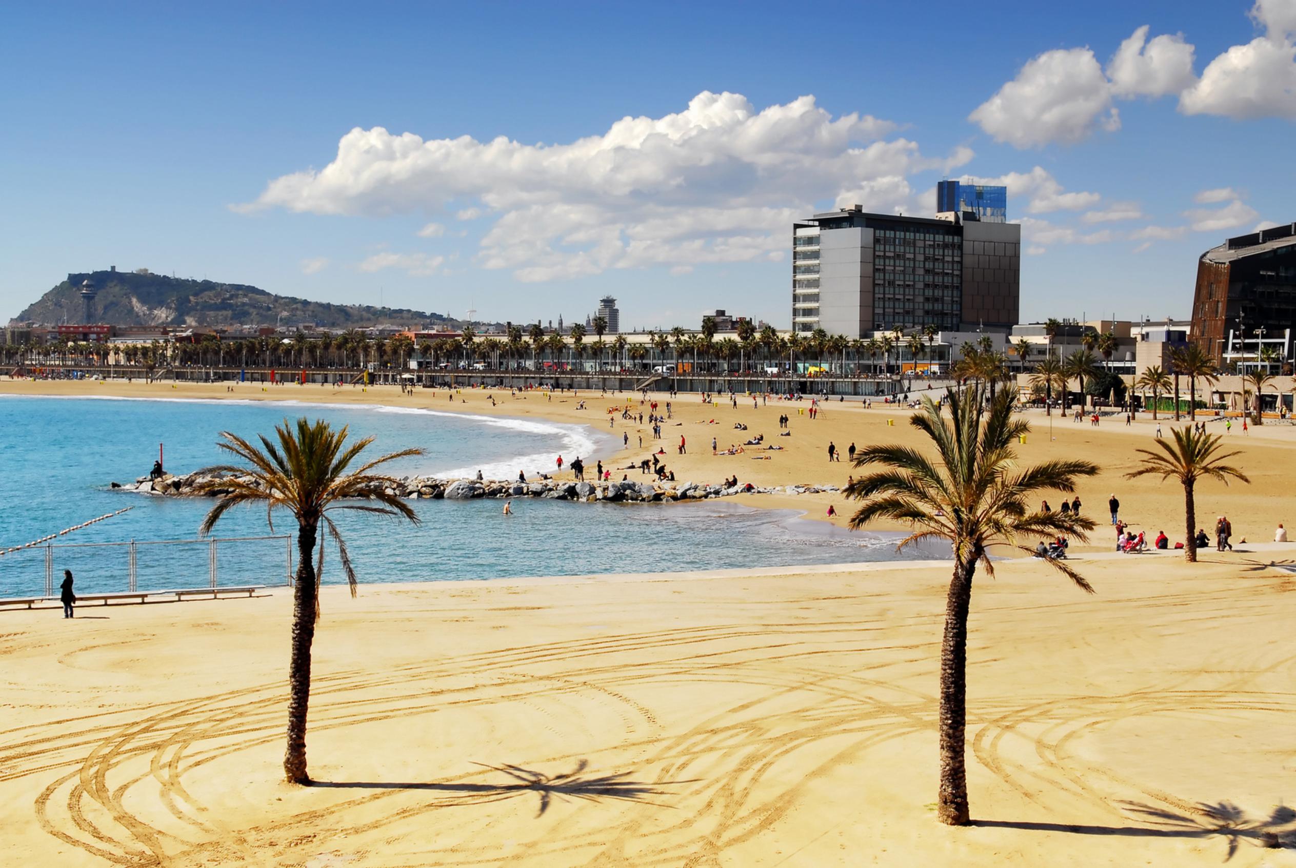 The best of Barcelona: visit by bus and on foot - optional cooking class and paella tasting
